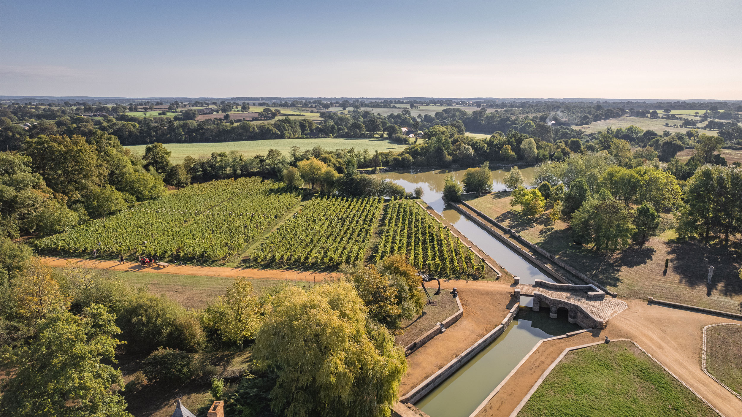 La Maison du Pin : Producteur de vin en Mayenne