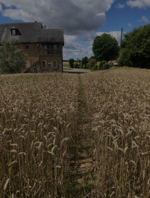 La Maison du Pin : La terre. Domaine agricole en Mayenne - Producteur de vin en Mayenne